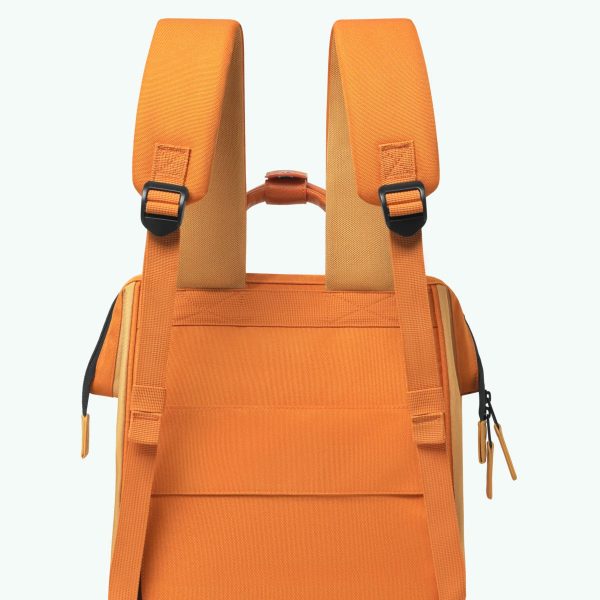 Sac à dos Adventurer Medium Grasse – Image 9